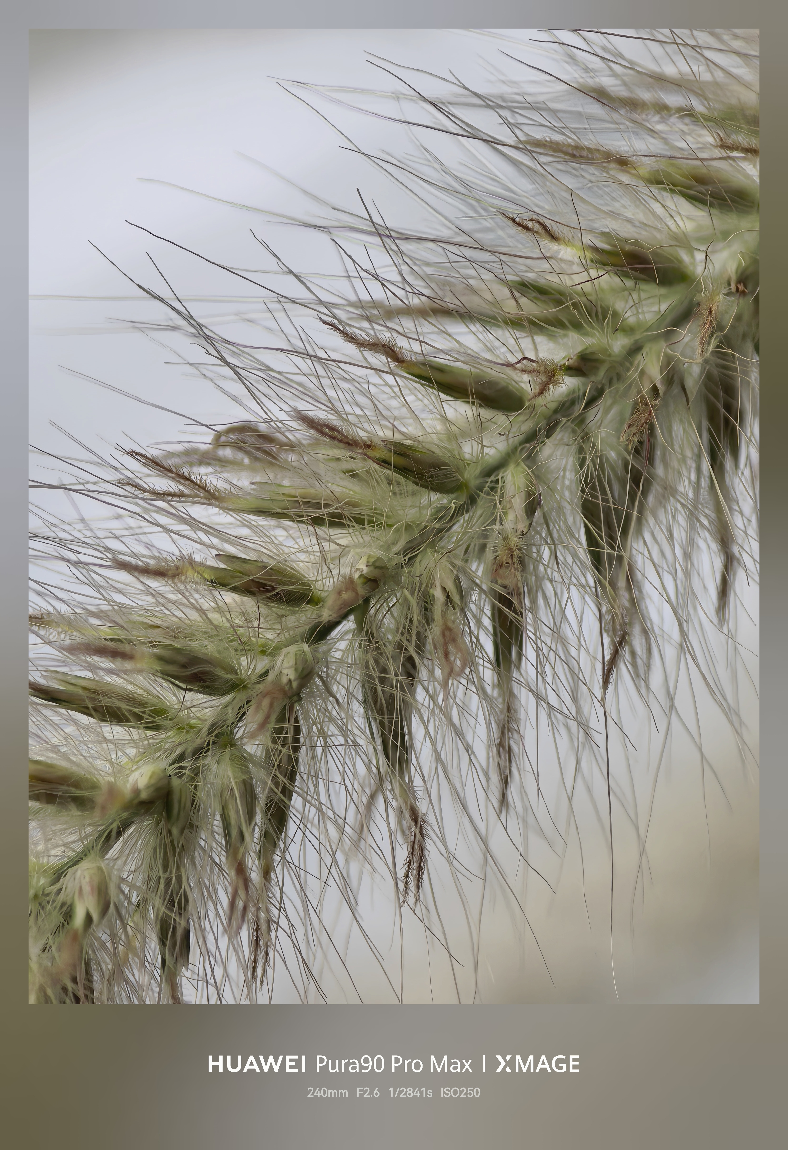 和大家分享一些 华为 Pura90 Pro Max 样张。图1 图2 的「3D动