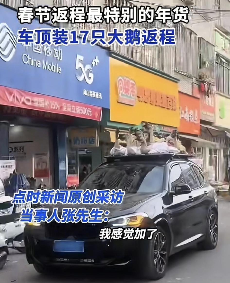 广西博白一男子春节返程在自制小车的车顶行李架上装了17只鸡鸭鹅。本来爷爷奶奶是想