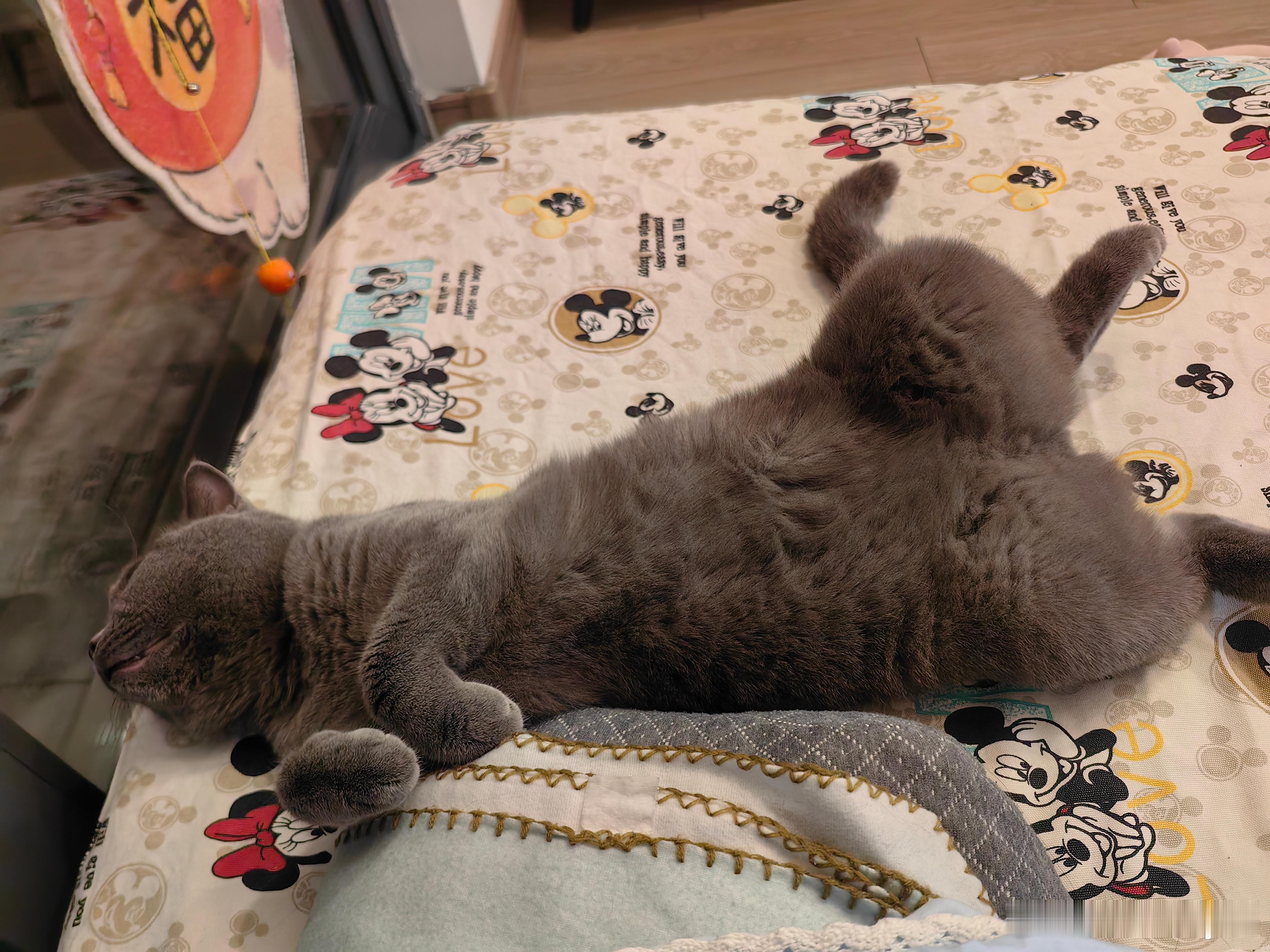 四仰八叉  ​​​