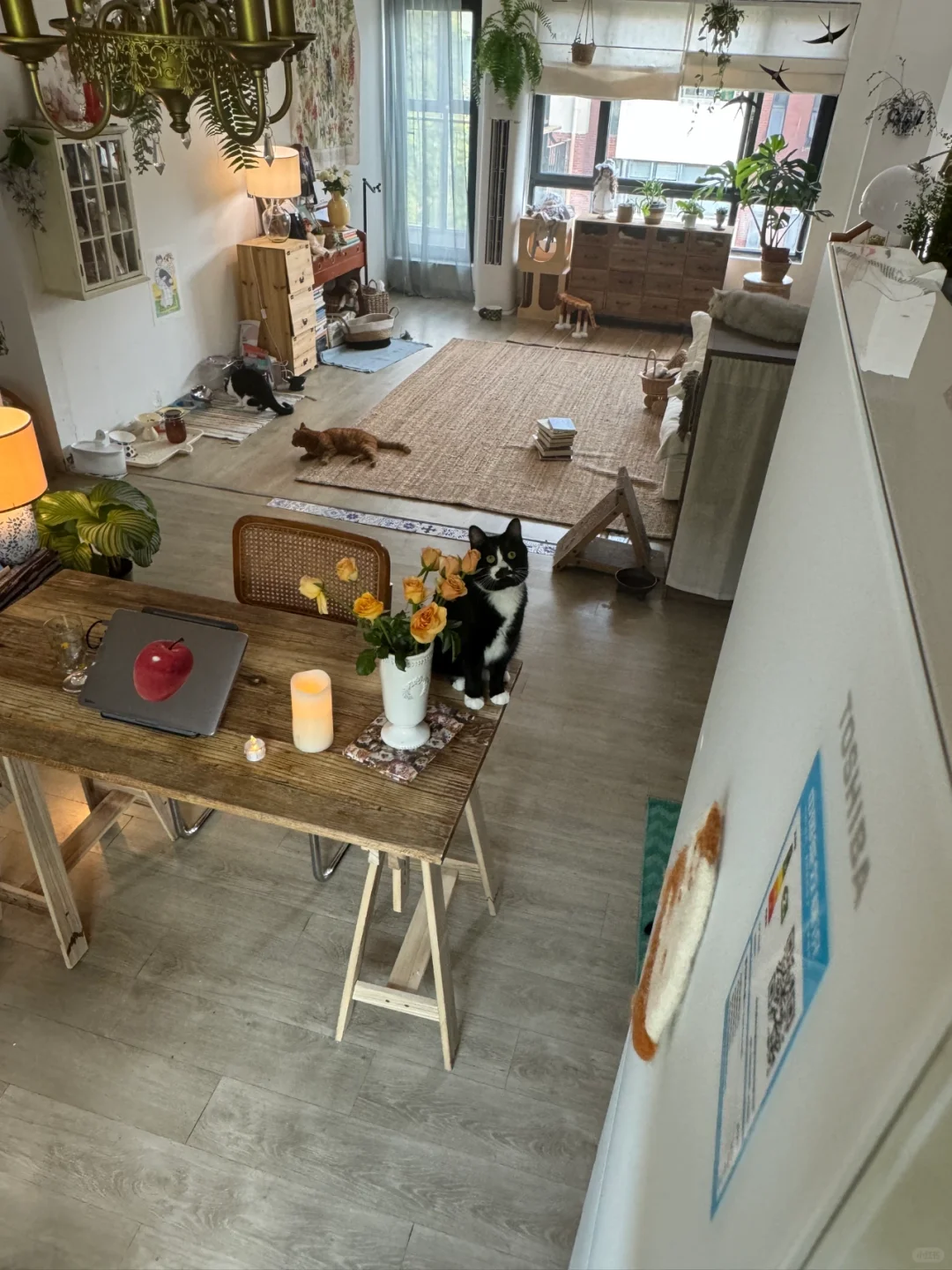 听妈妈的话，直到32岁才学会好好吃饭