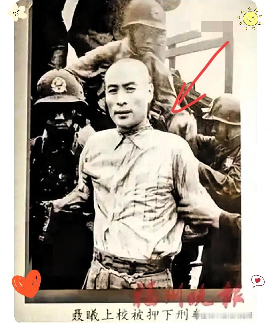 惊爆！
聂曦骨灰无人认领背后，竟藏着如此催泪的真相！

档案上“无亲人”三个字，