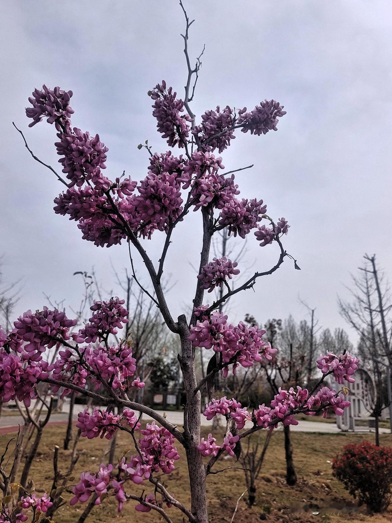 亲人本比朋友亲
打断骨头连着筋
朋友本身不是亲
常来常往胜亲人
朋友掰了两拉倒