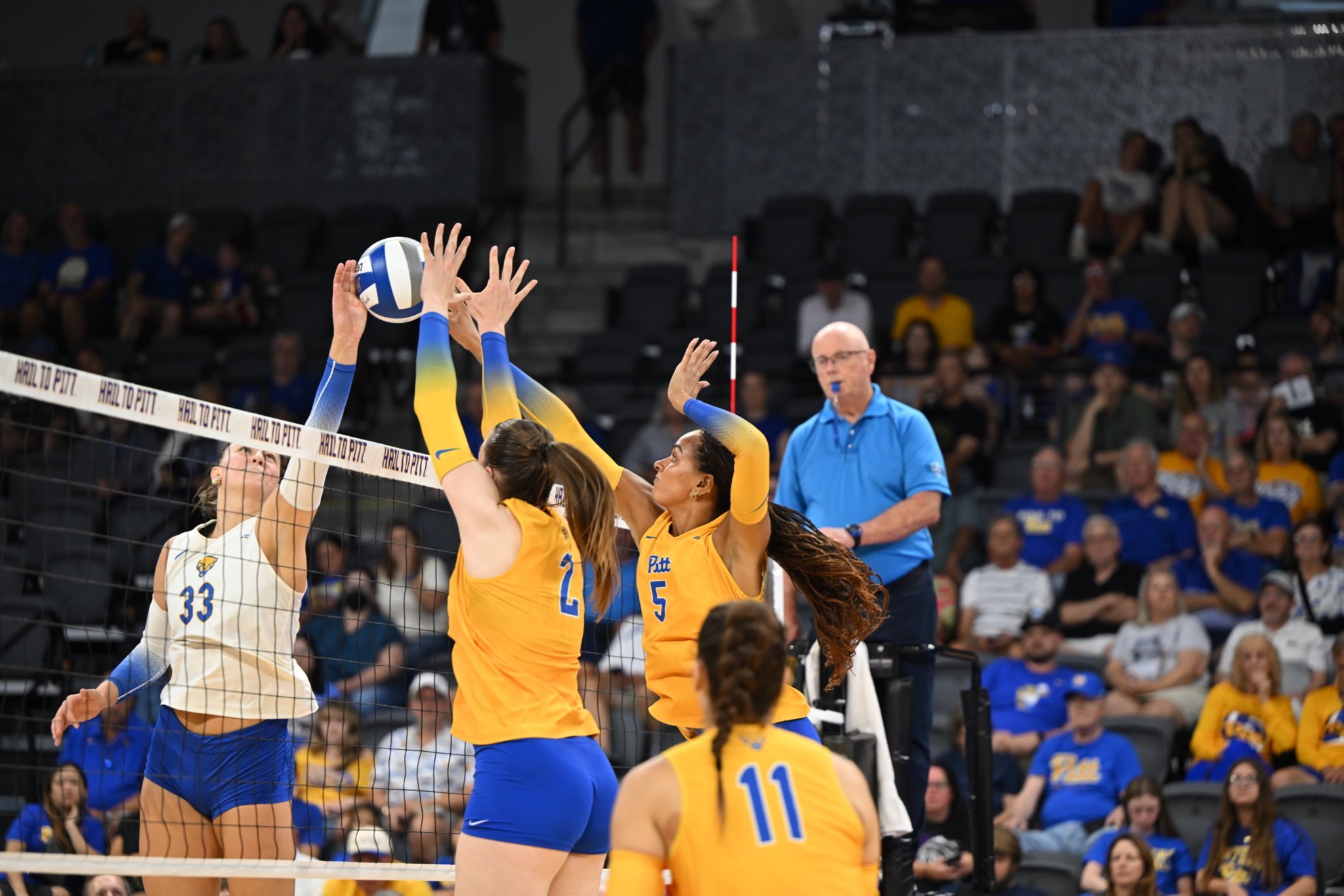 荷兰女排 Pitt Volley昨日打了一場賣票的隊內對抗賽，Heilig寶所在
