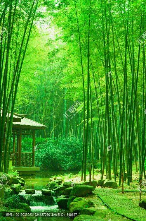溪水从石缝间淌过，发出清脆的声响，像是有人在远处轻轻拨弄着古琴的弦。水是清的，清