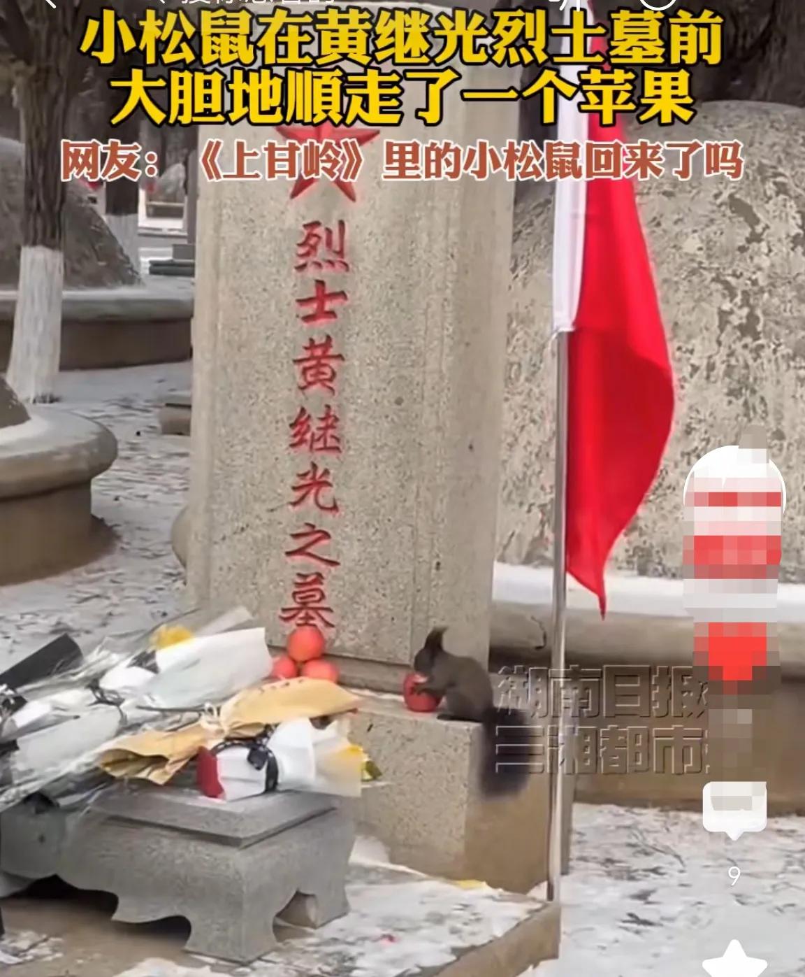 小松鼠🐿，
你来干吗？
小哥哥已经睡着了，
你是来告诉他家里都好吗？
你是来告