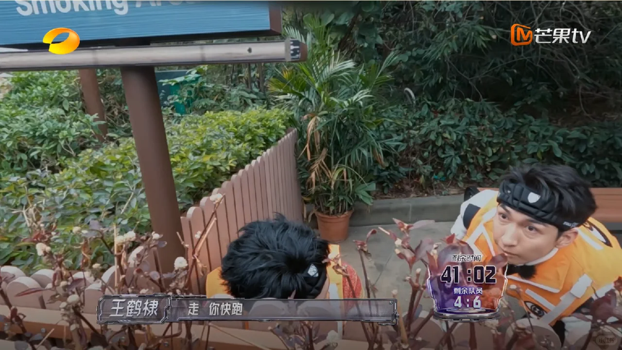 王鹤棣啊！我：感动，但没必要…