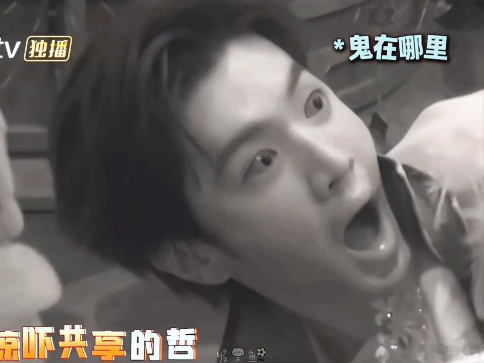 陈哲远把张真源问懵了张真源需要哄陈哲远笑不活了家人们！张真源守卫身份上线，为迷惑