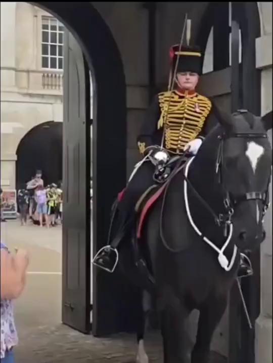 这波操作都看傻了。