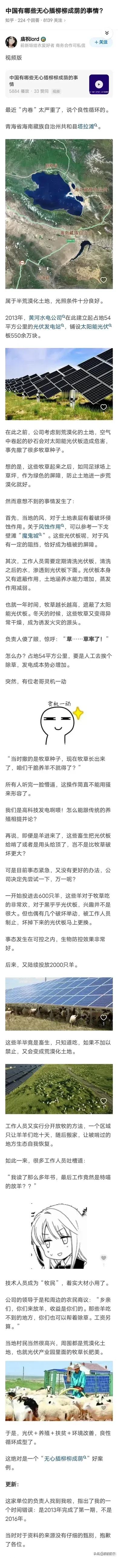 有哪些无心插柳柳成荫的事情？ 