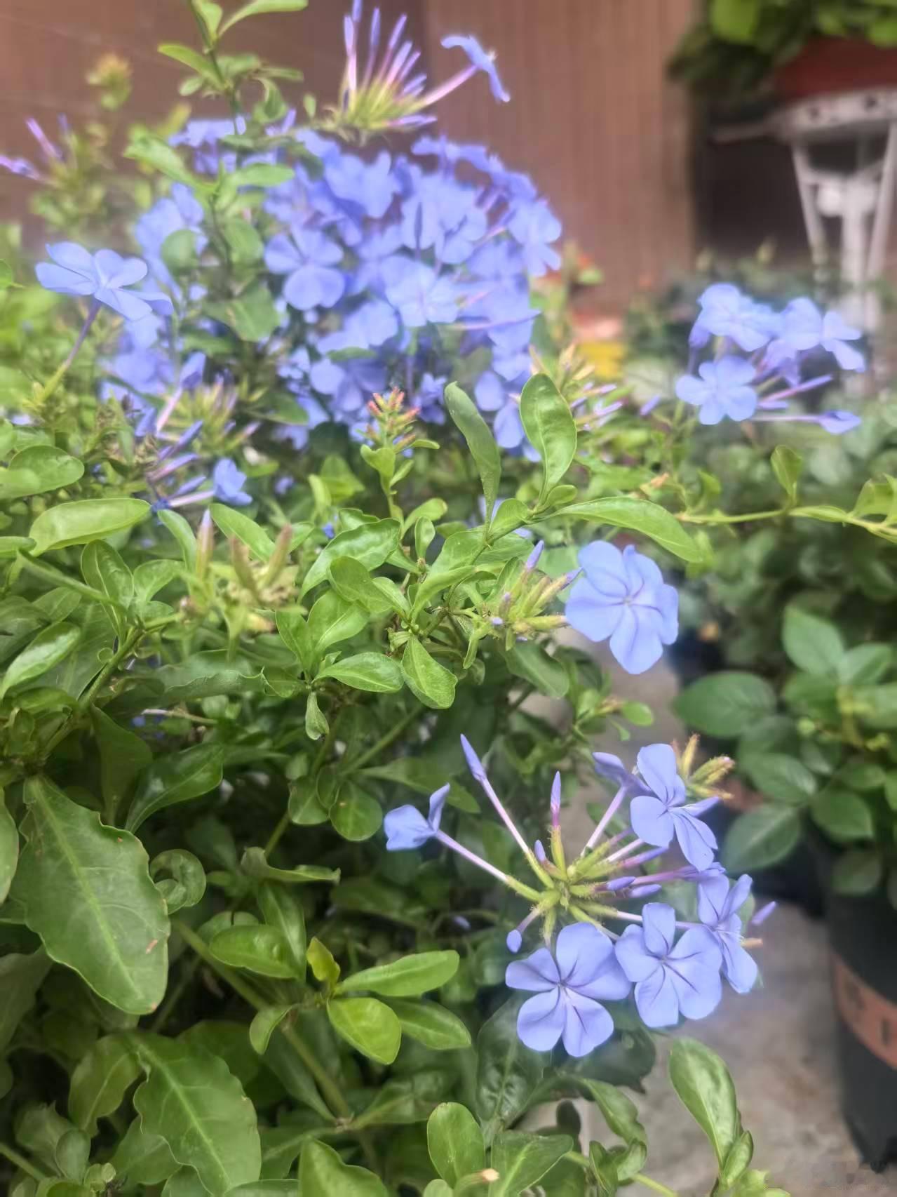 天气降温，注意保暖！