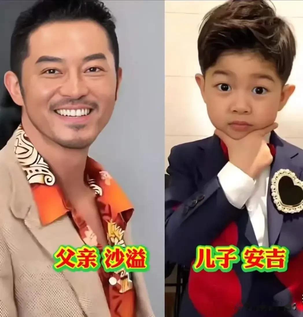 爸爸帅气，儿子英俊。儿子是爸爸的缩小版，有爸爸年轻时的样子。时光在变，可那张脸，