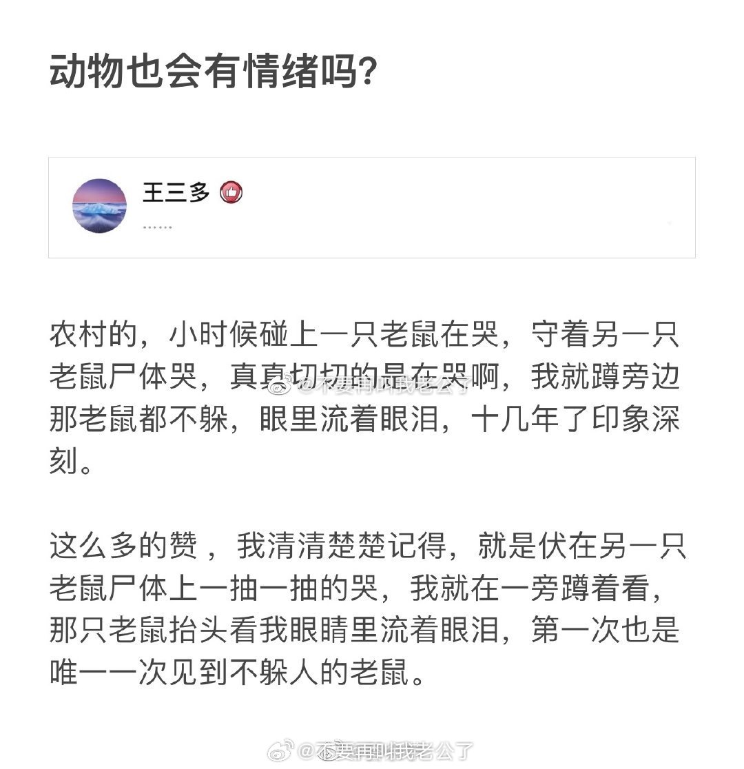 动物也会有情绪吗？这些故事莫名让我有点心里发毛啊……[拜拜] cr曝猛 ​​​