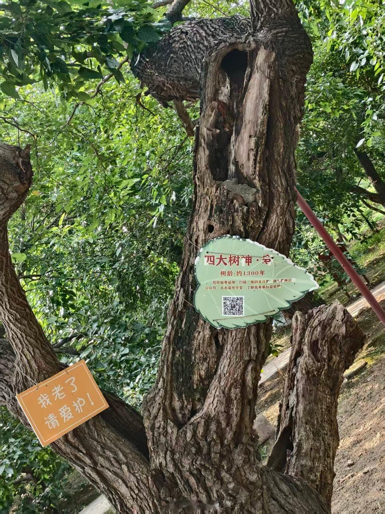 【沿黄实践千帆竞，曲师学子以青春守护黄河生态文脉】曲阜师范大学大学生暑期社会实践