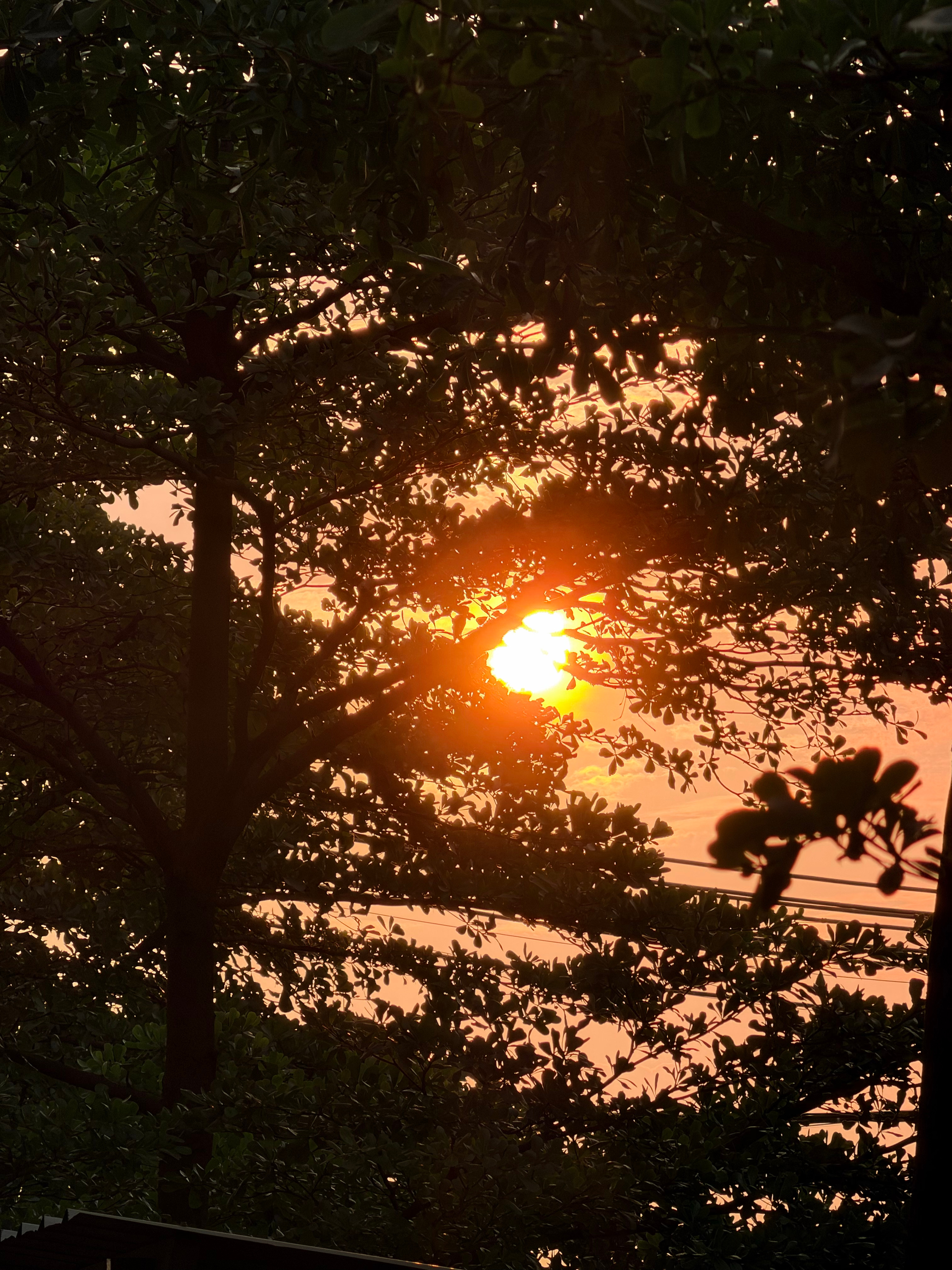 🌇 