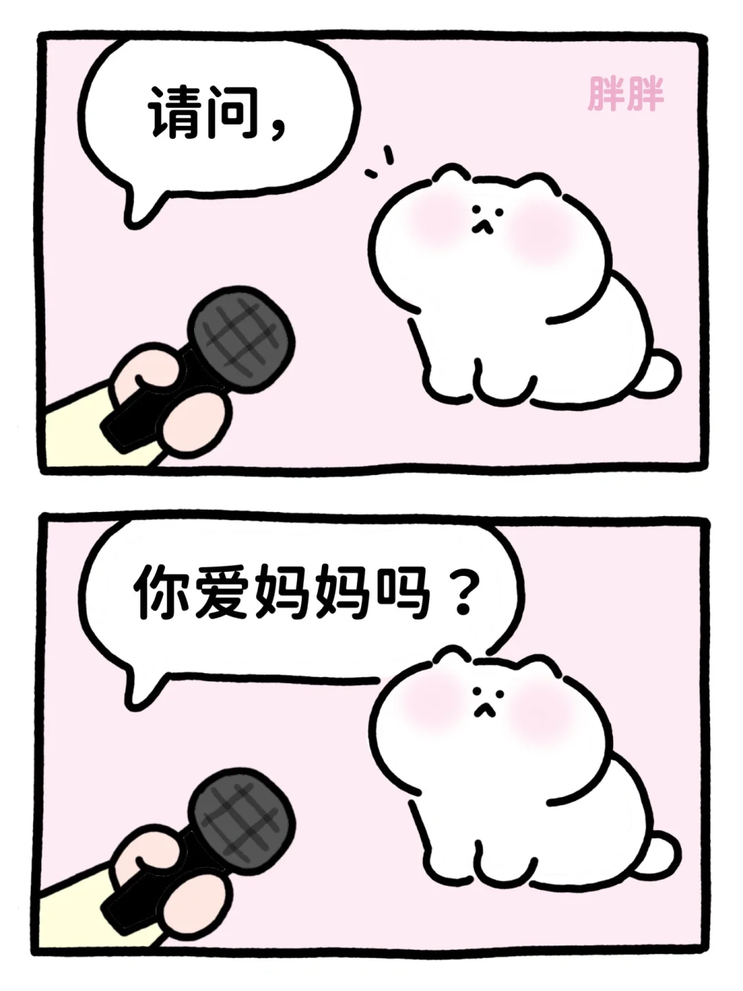 采访小猫🎤