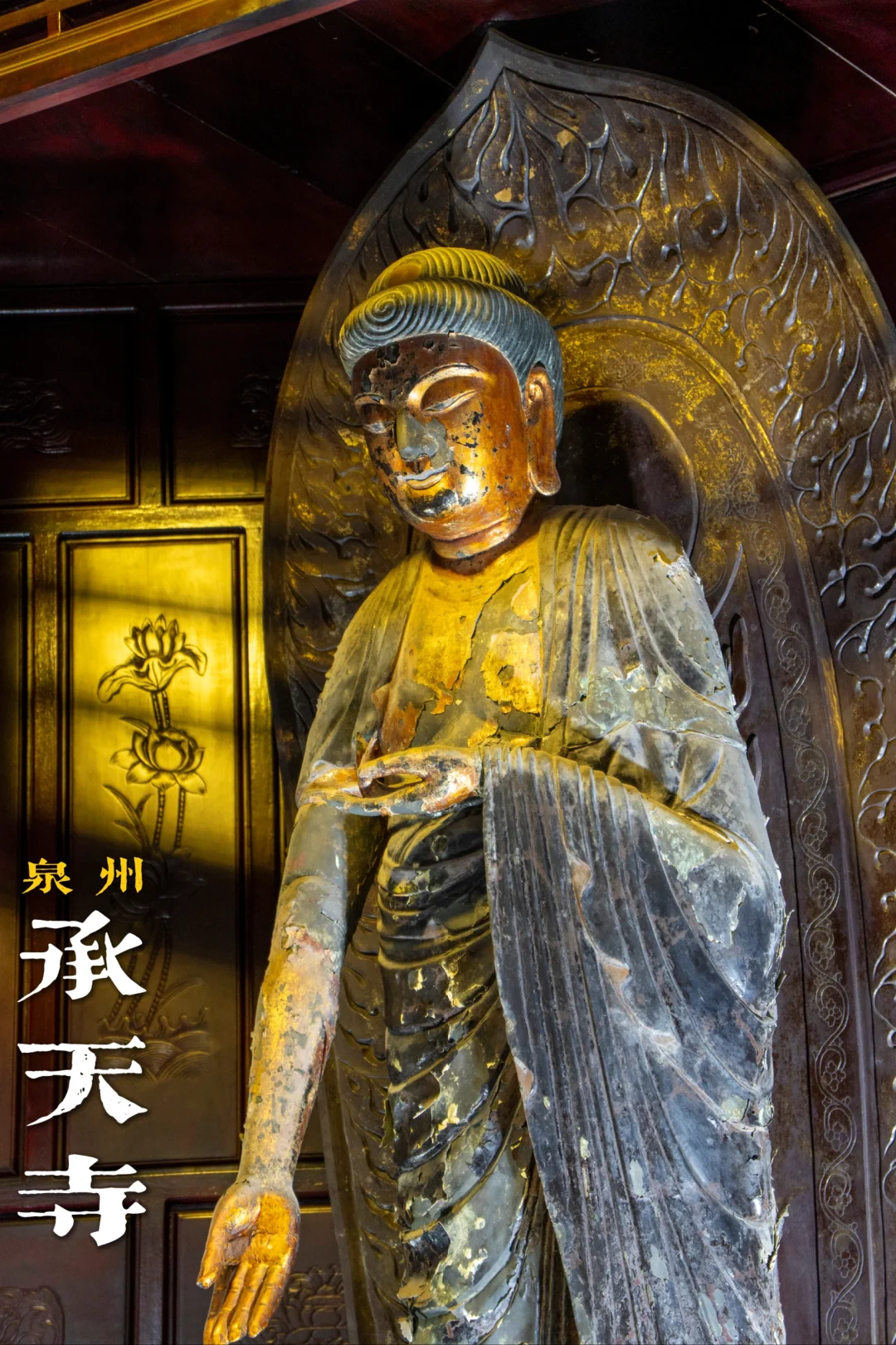 闽南最精美的古佛造像，藏在泉州小众寺庙