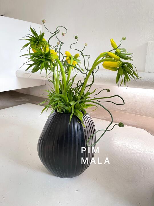 PIMMALA｜没变～还是那个柠檬黄