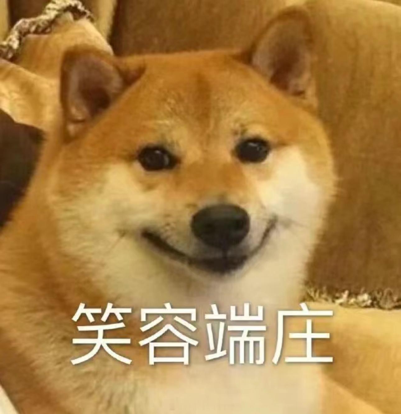 女子辟谣遛狗不牵绳与男子冲突都挺抽象的