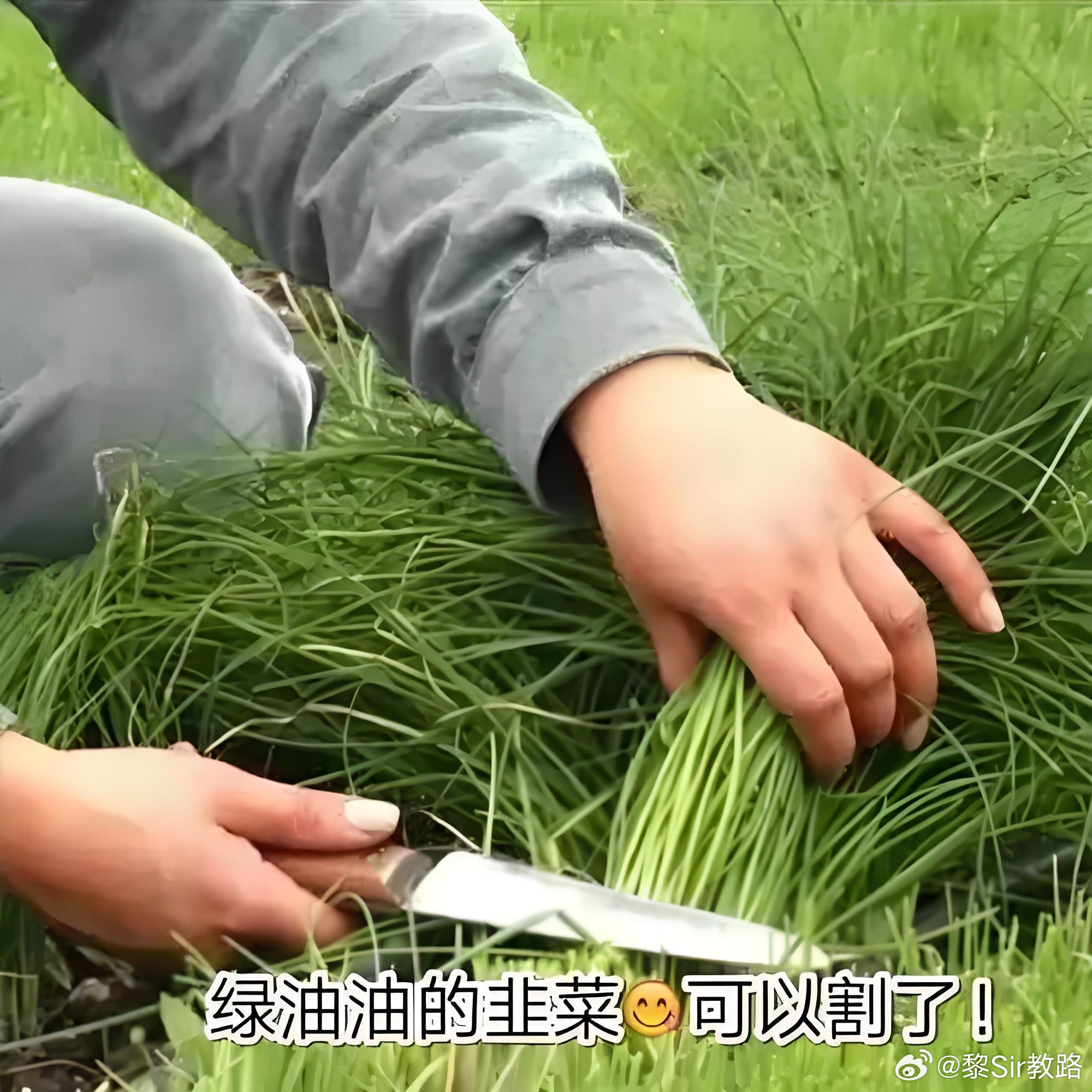 现在企图贩卖AI焦虑的现象极为严重，养龙虾就是一个很好的例子，多少人还没搞清楚是