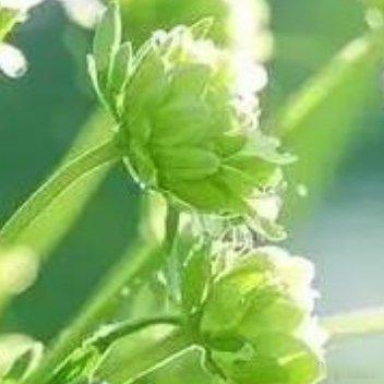 缘来缘去缘如水，情散情聚情何归 