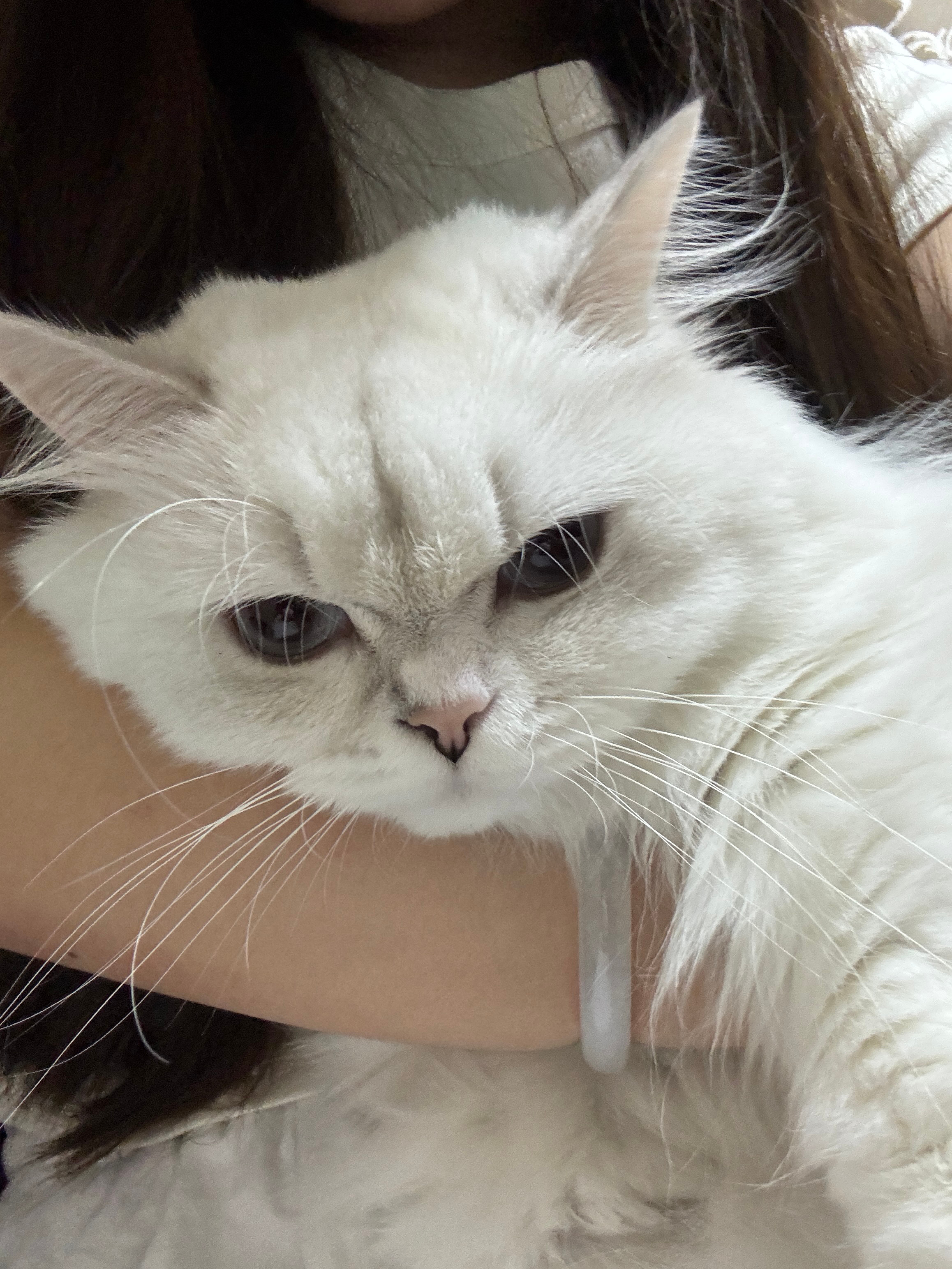 讨厌不诚实的人…离我远点呗 ​​​