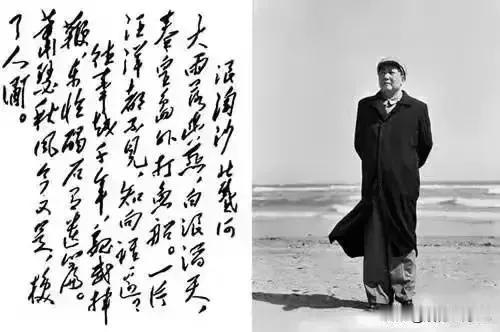 泼墨尽书一代风流，展眉重绘锦绣山河！