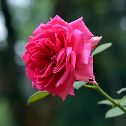 王字去一笔你首先想到的是什么字?王字去掉一笔，最先想到土字。简简单单一字之差，人