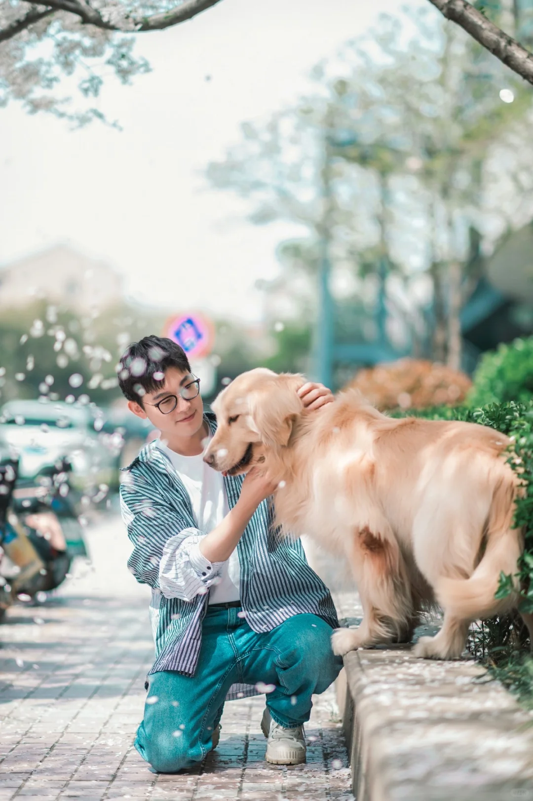 春游记|淋了一场樱花雨 昆山最佳樱花机位
