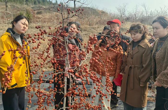 平阴县：“师带徒”传技艺 乡村振兴育人才！为深入贯彻落实乡村人才振兴决策部署，加