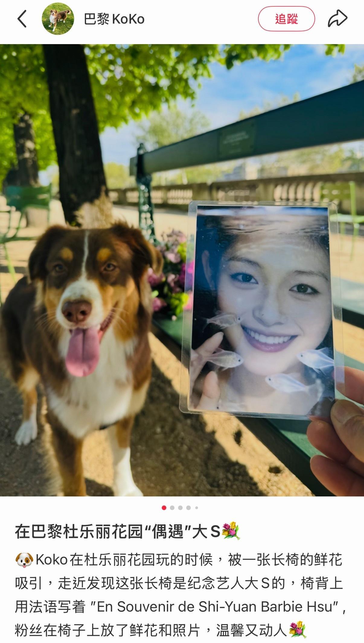 法国巴黎杜乐丽花园也有大S纪念长椅啦💐椅背上用法语写着 ”En Souveni