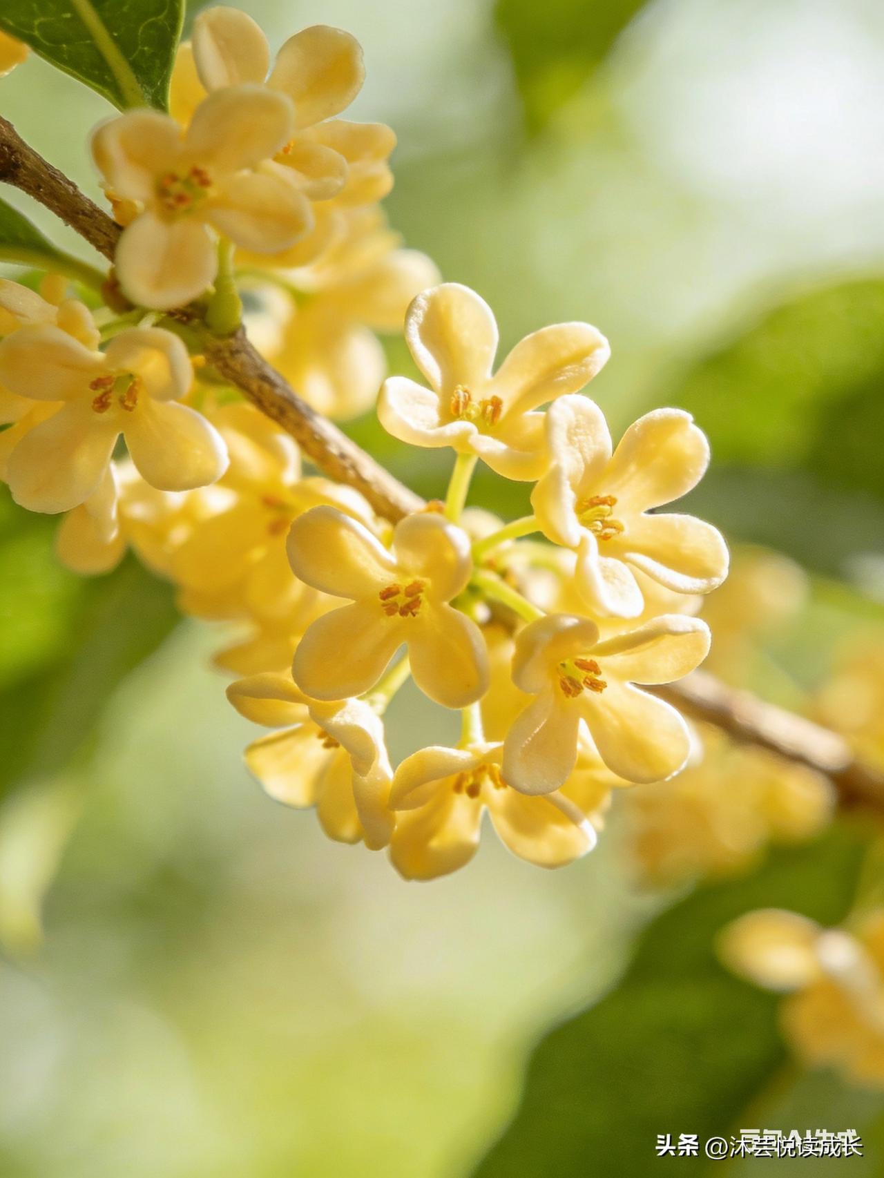 晚年越活越轻松的人，都提前看淡了这3件事
 
56岁退休后才懂：人这辈子，晚年过