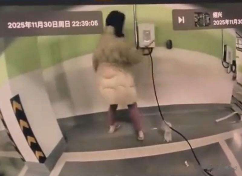 纳闷了，一点常识都没有吗？绍兴女子竟然拿菜刀砍断正在充电的充电桩电线，这得有多危