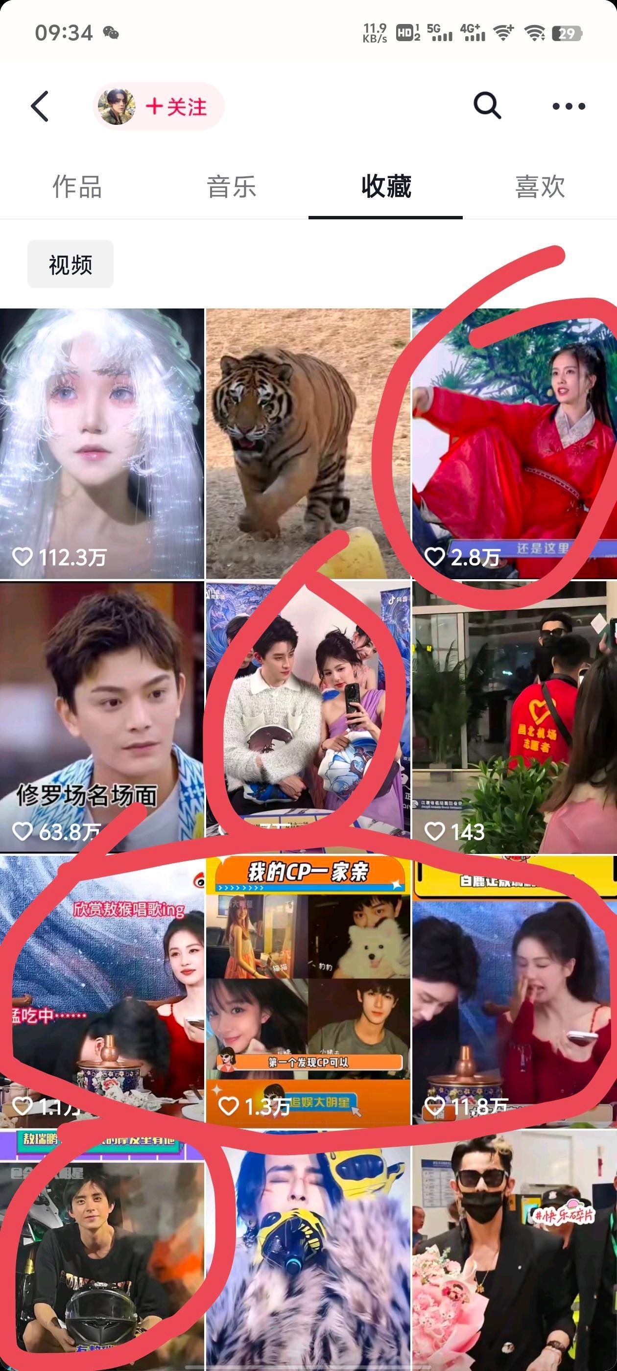 东城不语 只一味地收藏 