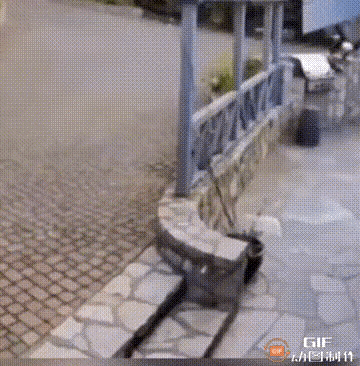 1：作为“农村三霸”之一的大鹅，为什么还打不过那只鹰了？感觉不可能啊。