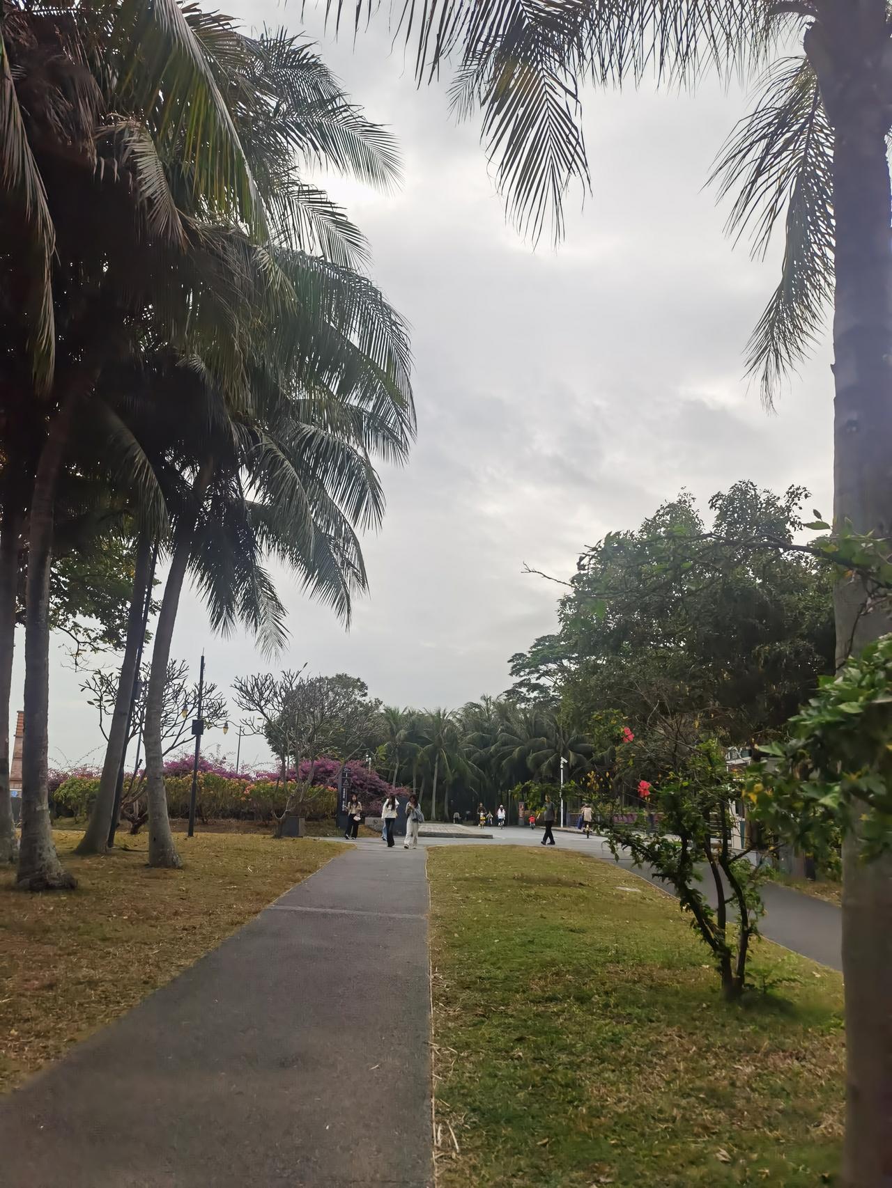 早上梳头时从掉的头发里发现一根雪白的，虽然只一根，还是令我心有所动。

岁月不饶