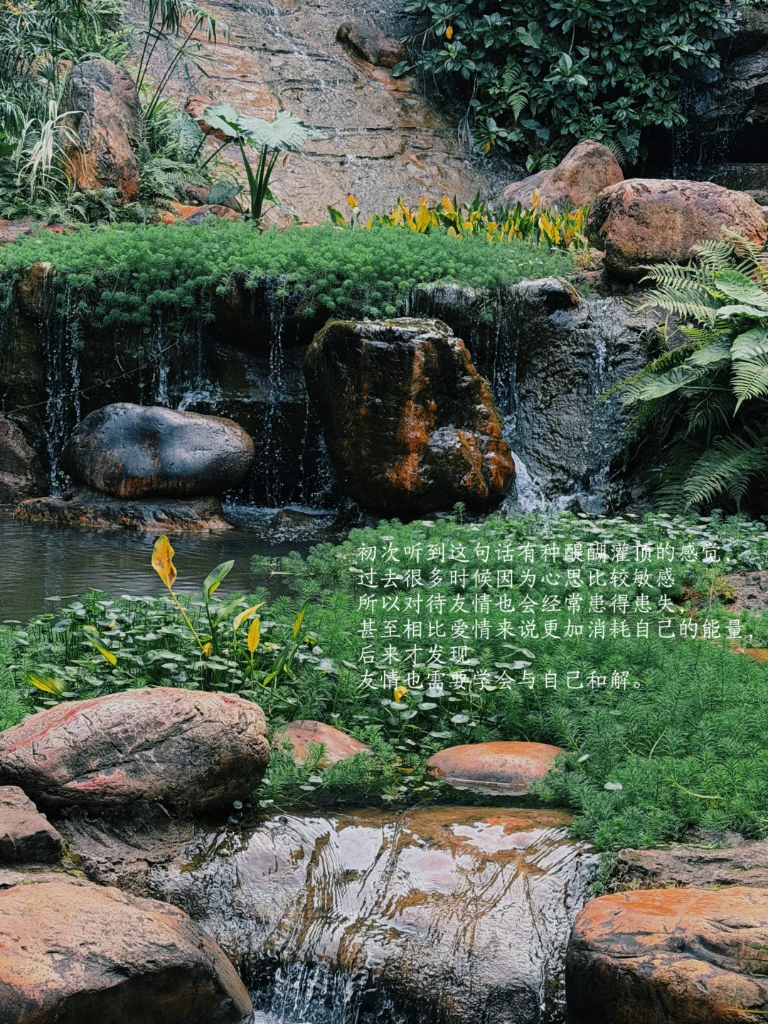 人要学会过情关，不止爱情，还有友情