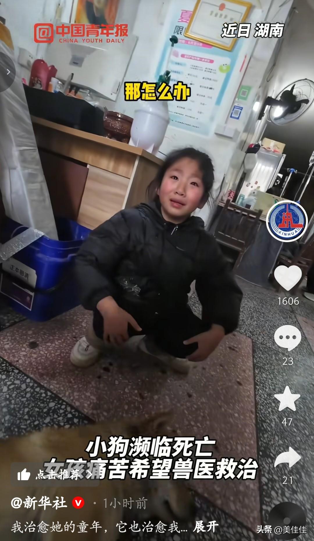 看到小女孩和狗狗、兽医小刘的故事，我特别有感触。兽医小刘说，他治愈了小女孩的童年