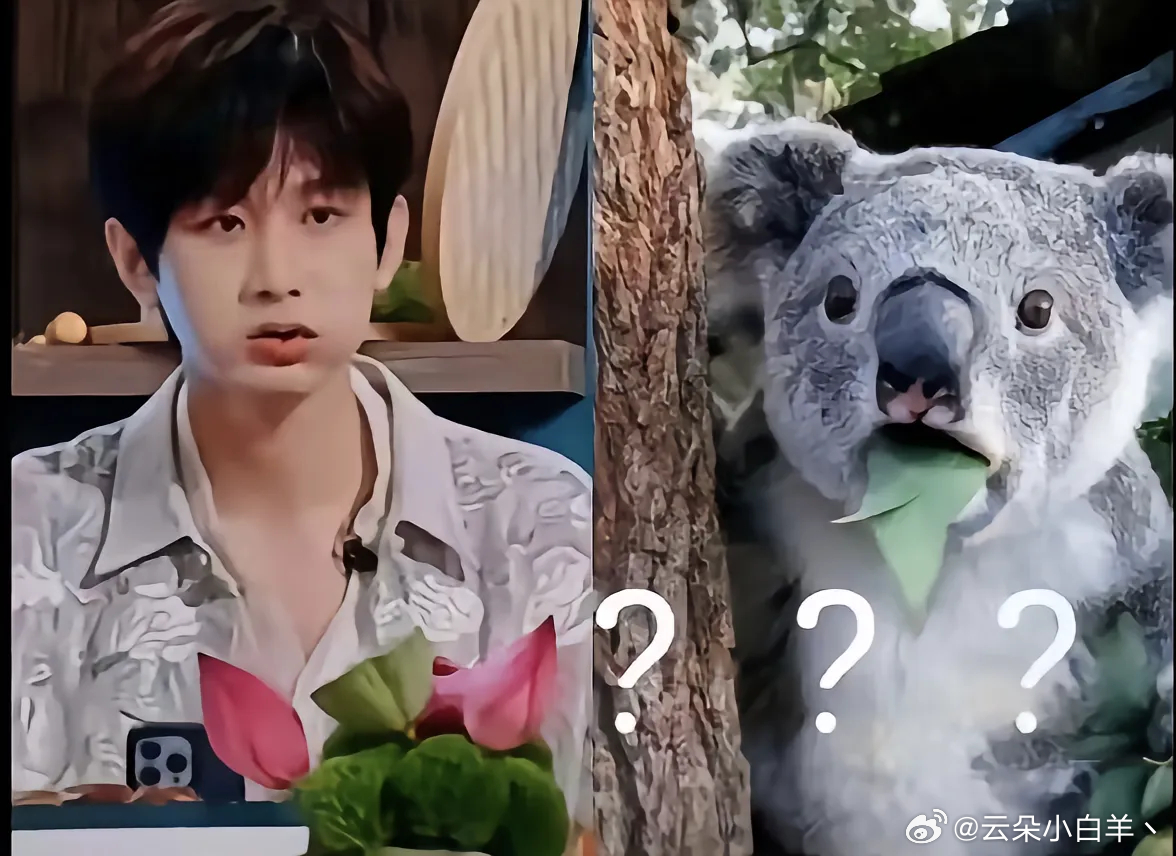 只能说是一模一样。我哥猫塑一枚～成毅 成毅