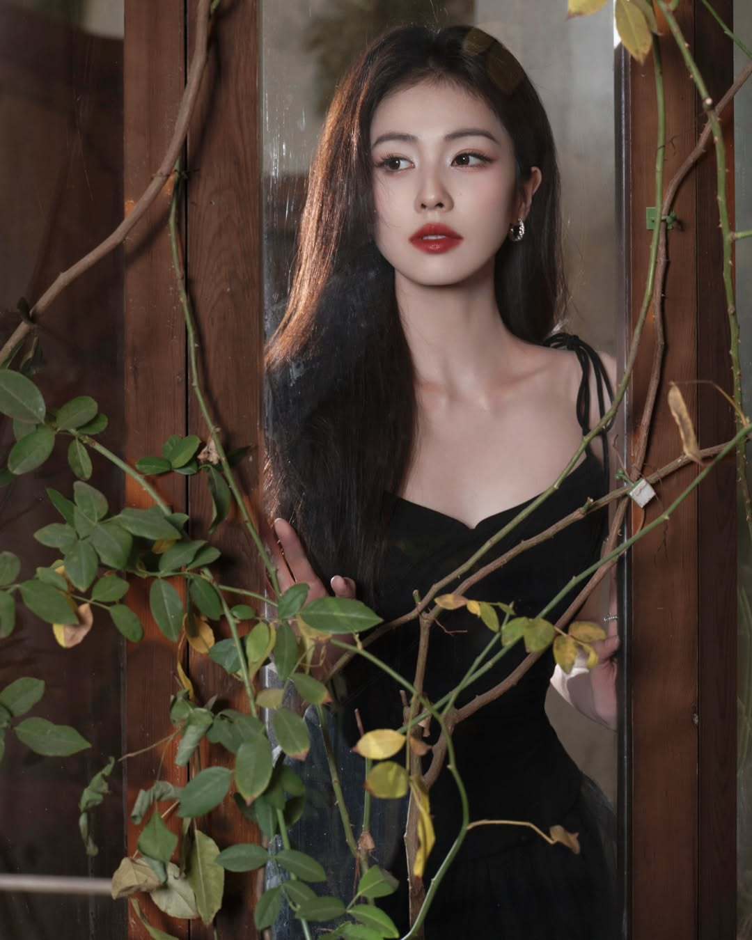 白鹿 