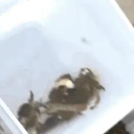“科学都解释不清了！”甘肃，一女子和男友去小河边钓鱼，男友半天一条鱼没钓上来，而