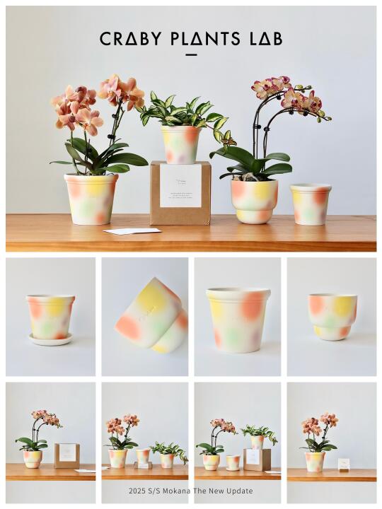 Mokana春夏新品，还未盛夏，就已绚烂。