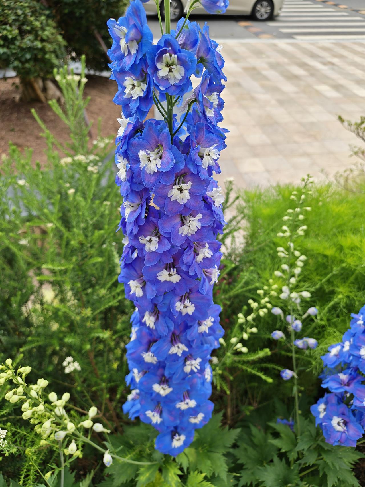 普通退休人员那微薄的退休金，老老实实地存进银行才最保险！
我作为一名普通退休人员