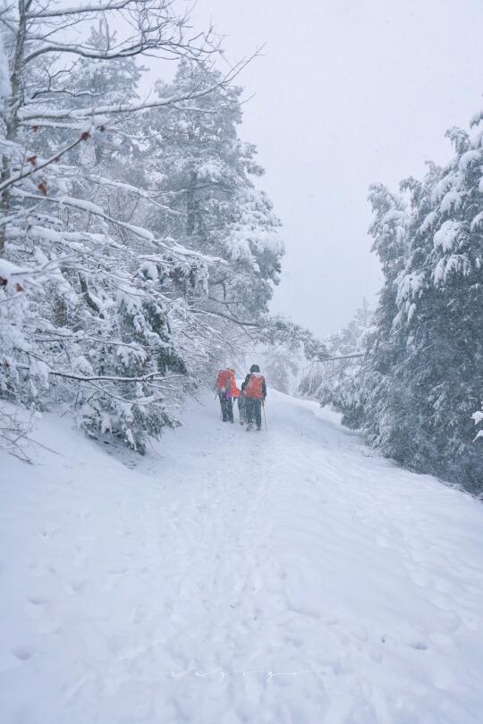 宁波亲子徒步|四明山林海雪原赏雪休闲路线