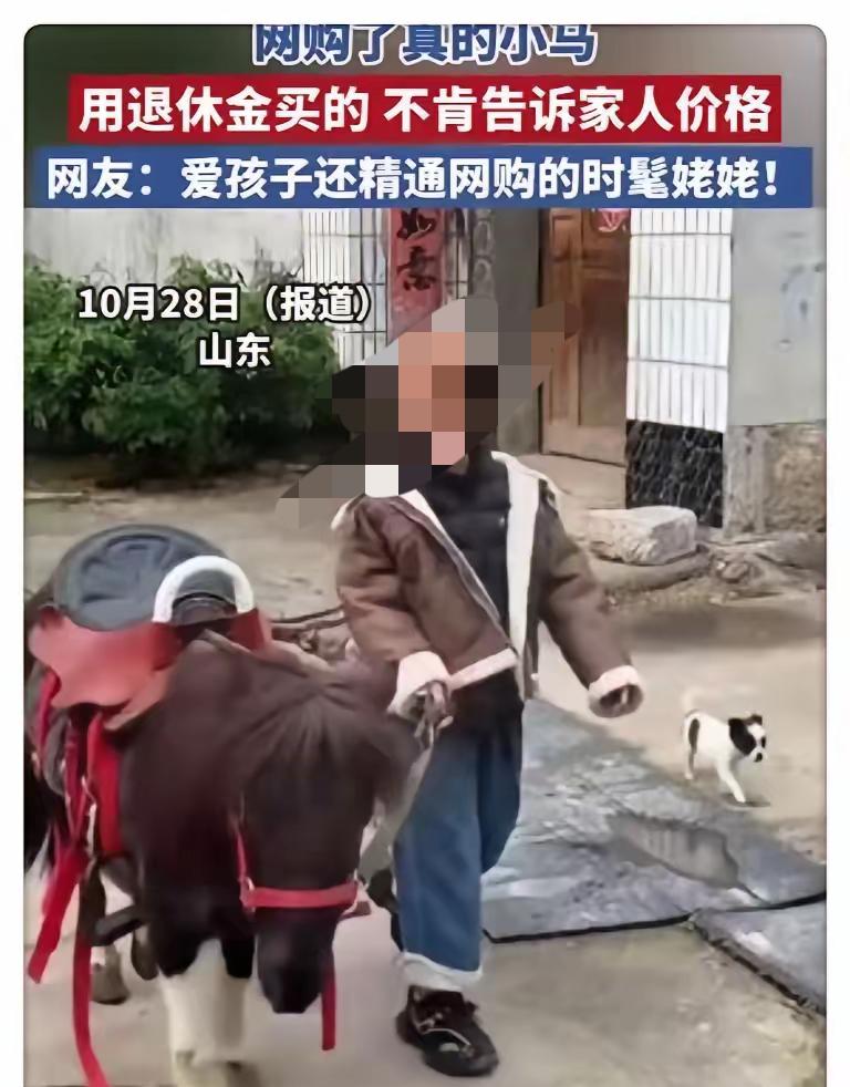 山东这位姥姥学会网购后的操作，真是让人万万没想到！原本她连手机支付都不会，女婿教