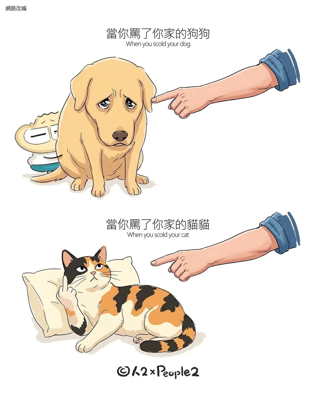 真贴切哈哈哈 