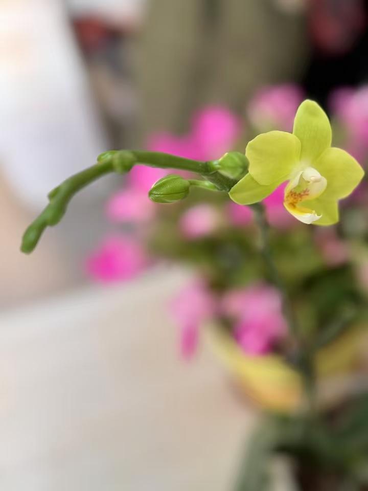 过了55岁以后，我买衣服的原则悄悄的发生了改变：

现在买衣服我最看重的一个问题