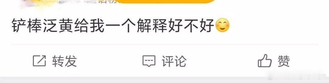 回顾去年大美黄海prada品牌大使朱志鑫朱志鑫一路向海的少年