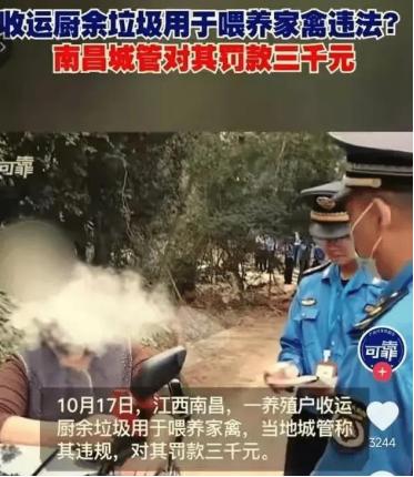 2023年11月9日，江西，农民用剩菜剩饭喂鸡，被城管罚款 3000 元！网友：