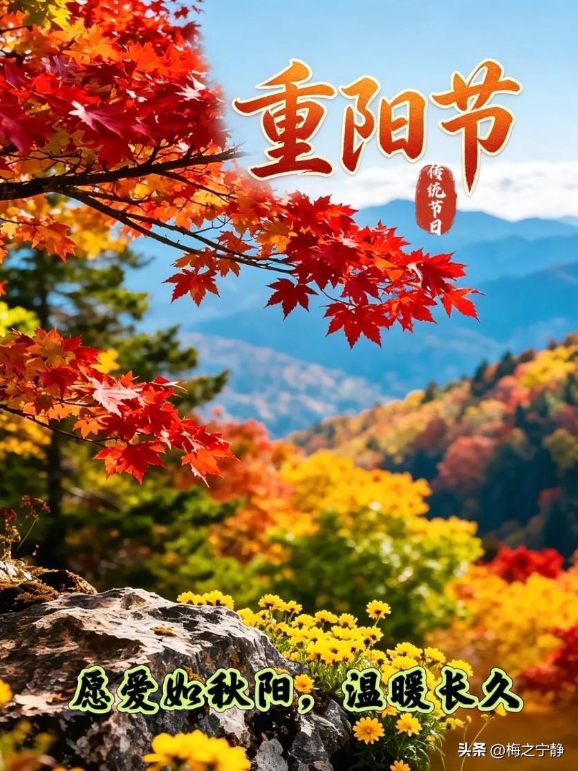 🍂²⁰²⁶/₁₀.₁₈ ᵕ̈ 🌞早安｜重阳安康☕️🍒🍑
🍃𝐆𝐨𝐨