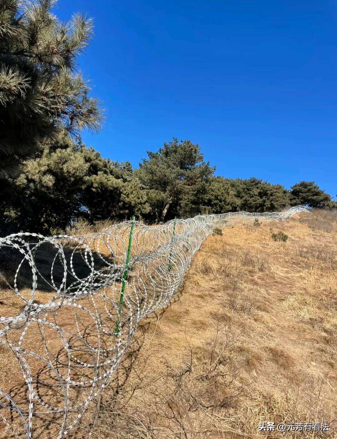泰山135公里的刀片隔离网，景区管理人员称，是为了防火防虫。这个出发点看上去似乎
